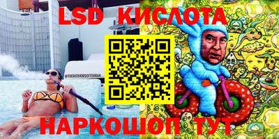 шишки Коммунар