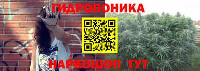 шишки Коммунар