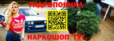 стафф Комсомольск-на-Амуре
